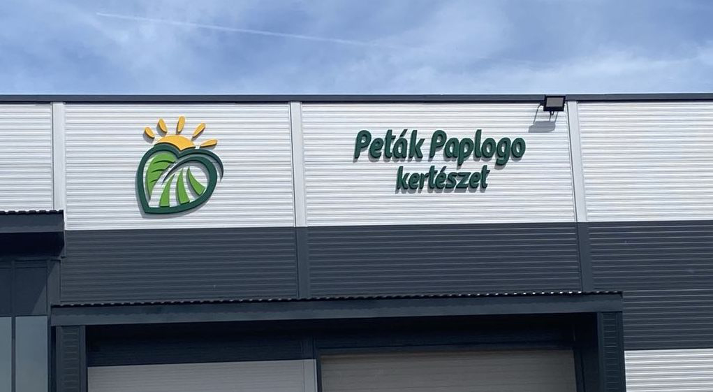Habbetűk a vizuális kommunikációban
